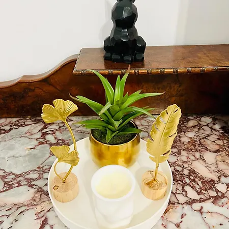 Elegant Bianca Apartment Rom